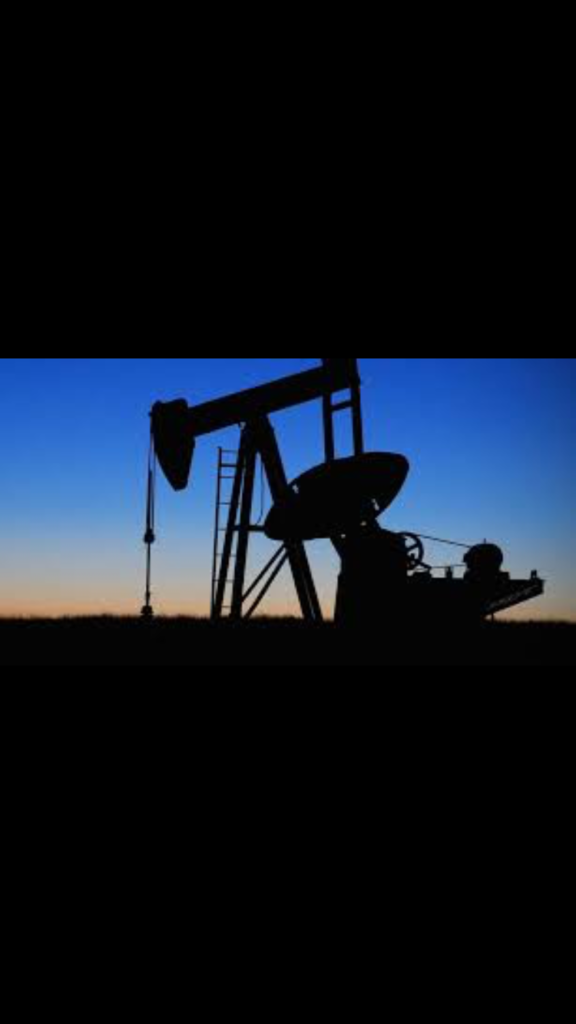 Cameroun: Neuf blocs pétroliers mis en promotion par l’État