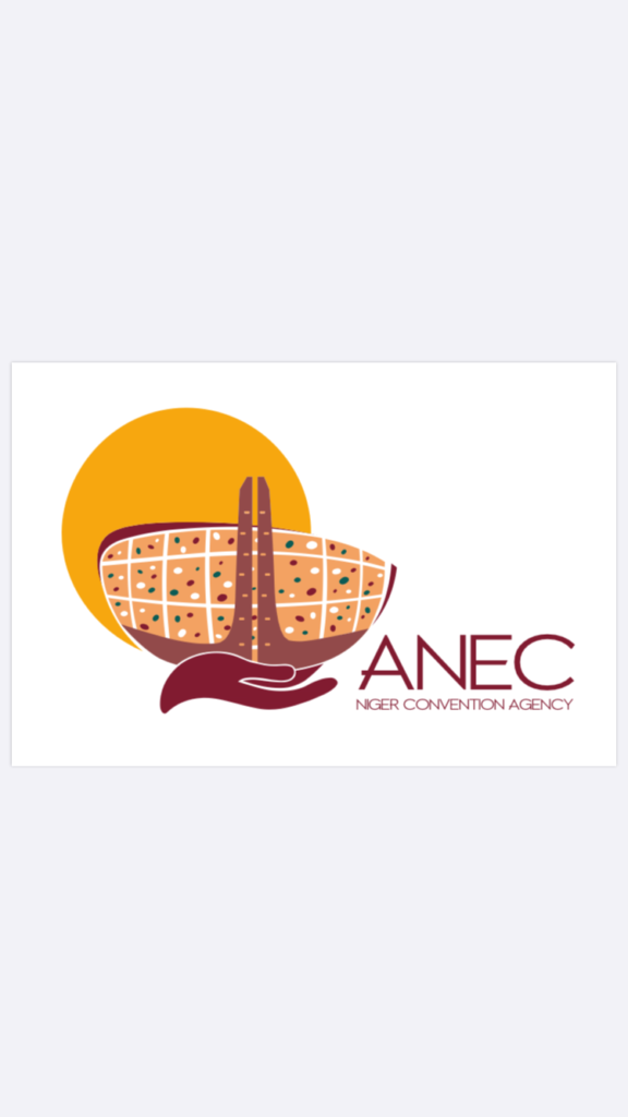 NIGER : AVIS A MANIFESTATION D’INTÉRÊT N° 003/2021/ANEC